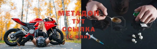 прущие грибы Зарайск