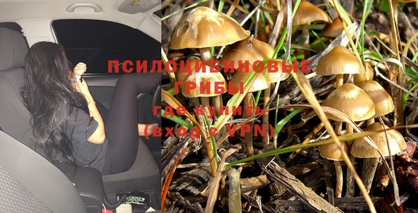 mdpv Пролетарск
