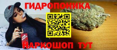 прущие крисы Апшеронск