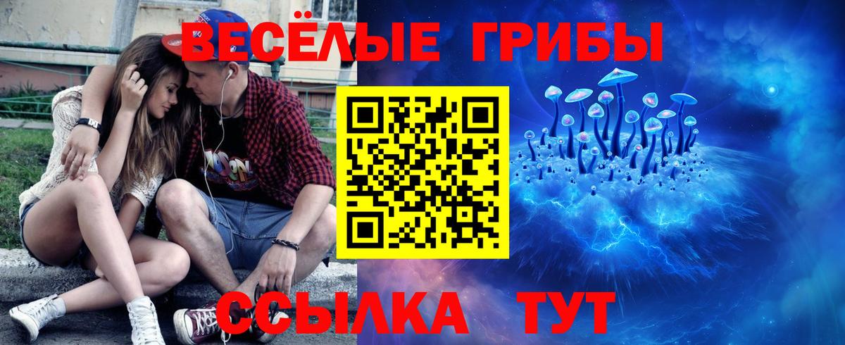Псилоцибиновые грибы MAGIC MUSHROOMS Баксан
