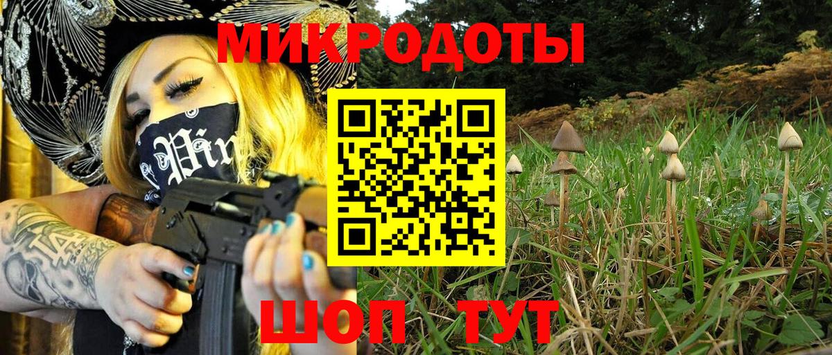 Галлюциногенные грибы прущие грибы  Псилоцибиновые грибы Cubensis  Баксан 