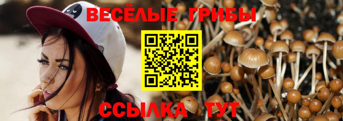 Галлюциногенные грибы Cubensis  Вход с VPN  Баксан 